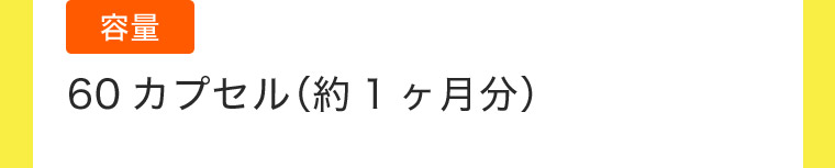 容量 60カプセル (約1ヶ月分)