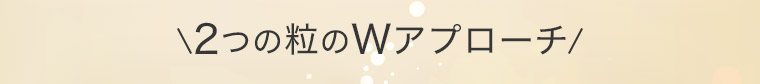 2つの粒のWアプローチ