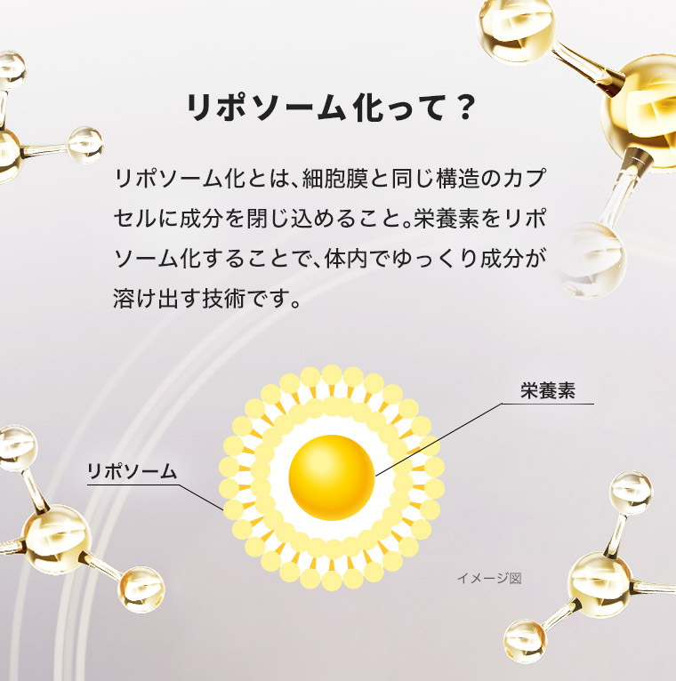 リポソーム化って? リポソーム化とは、細胞膜と同じ構造のカプセルに成分を閉じ込めること。 栄養素をリポソーム化することで、体内でゆっくり成分が溶け出す技術です。