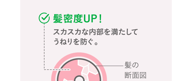 髪密度UP! スカスカな内部を満たしてうねりを防ぐ。