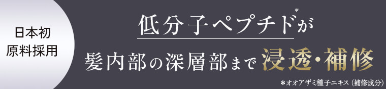 日本初原料採用 低分子ペプチドが髪内部の深層部まで浸透・補修