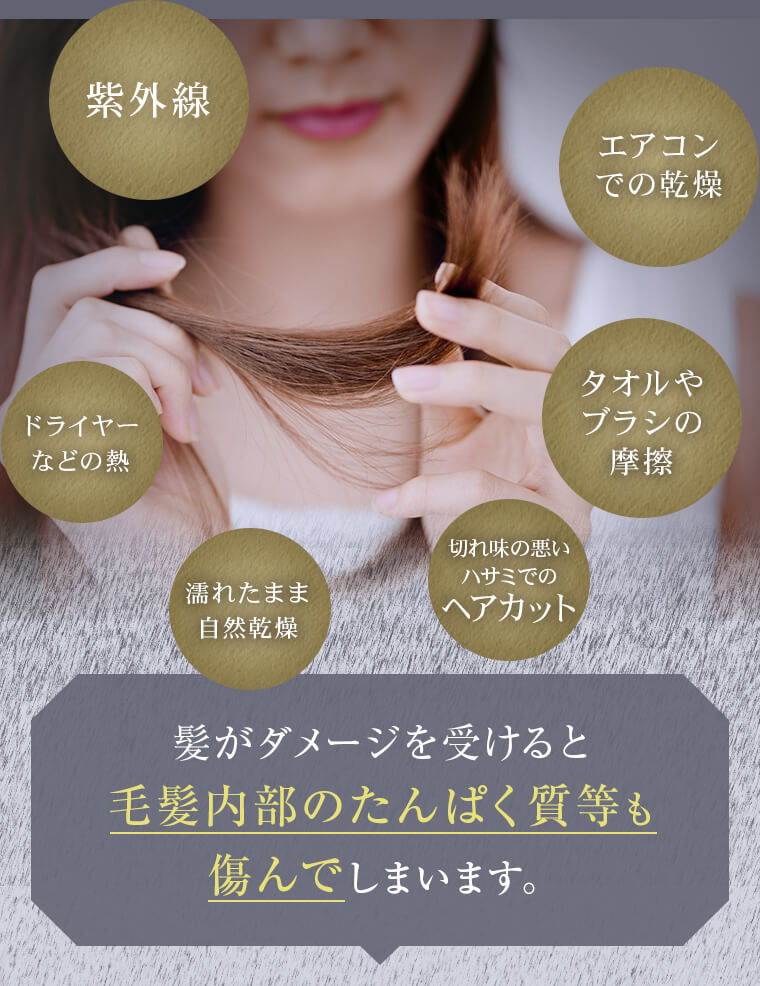 「紫外線」「エアコンでの乾燥」「タオルやブラシの摩擦」「ドライヤーなどの熱」「濡れたまま自然乾燥」「切れ味の悪いハサミでのヘアカット」髪がダメージを受けると毛髪内部のたんぱく質等も傷んでしまいます。