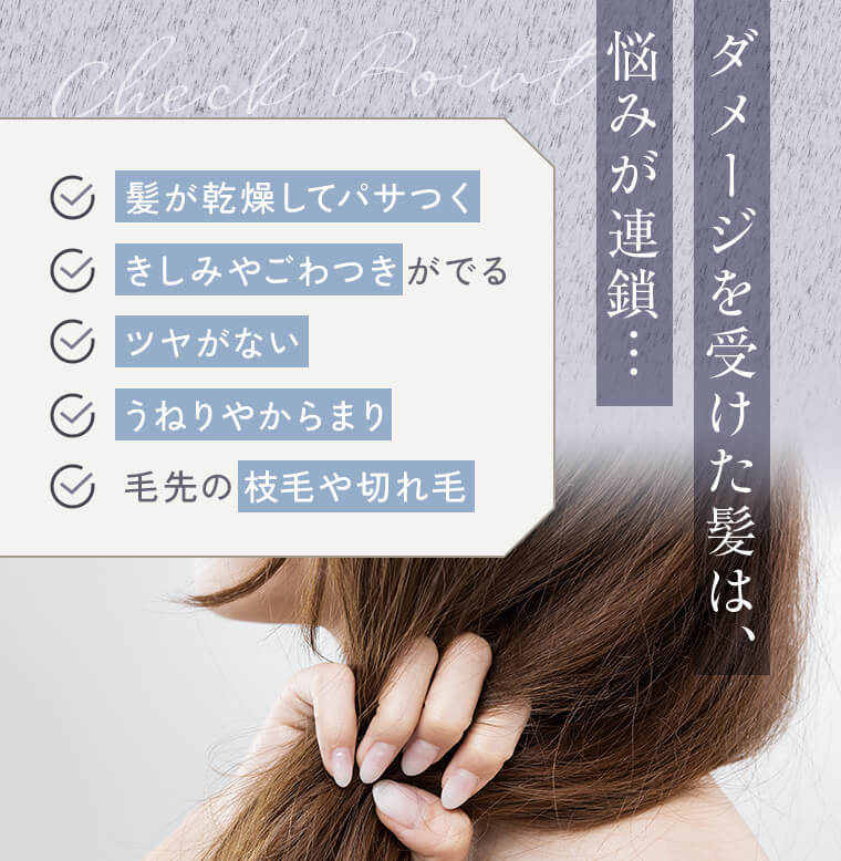 ダメージを受けた髪は、悩みが連鎖… 「髪が乾燥してパサつく」「きしみやごわつきがでる」「ツヤがない」「うねりやからまり」「毛先の枝毛や切れ毛」