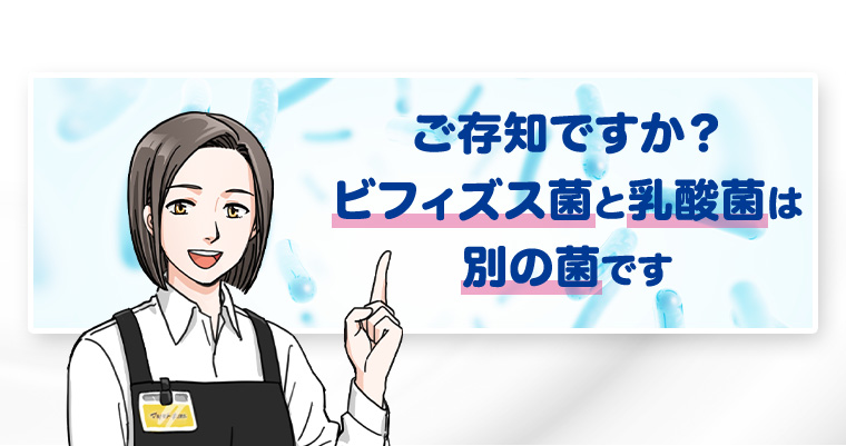 ご存知ですか？ビフィズス菌と乳酸菌は別の菌です