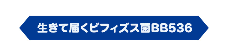 生きて届くビフィズス菌BB536