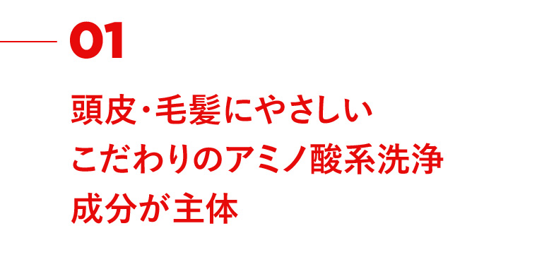 01 頭皮・毛髪にやさしいこだわりのアミノ酸系洗浄 成分が主体