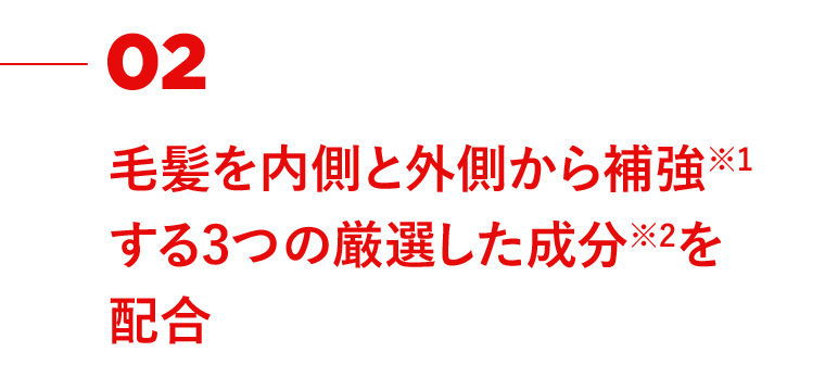 02 毛髪を内側と外側から補強する3つの厳選した成分を配合