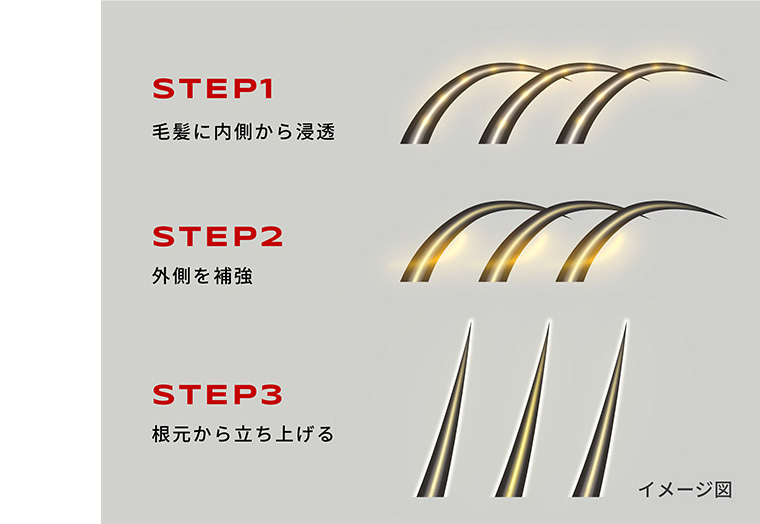 STEP1 毛髪に内側から浸透 STEP2 外側を補強 STEP3 根元から立ち上げる