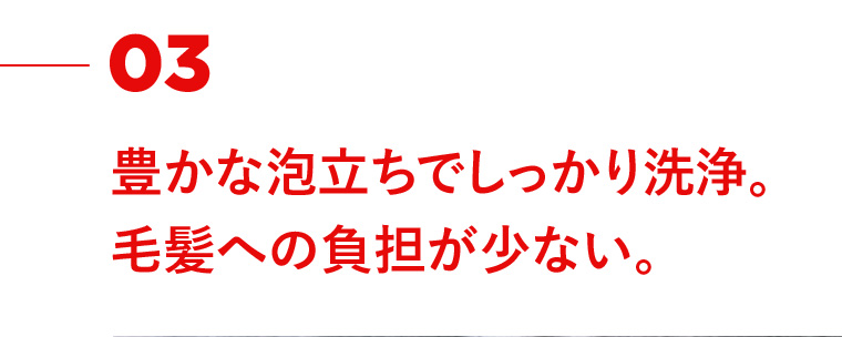03 豊かな泡立ちでしっかり洗浄。 毛髪への負担が少ない。