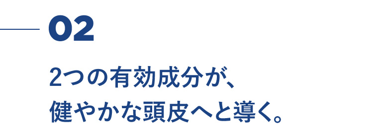02 2つの有効成分が、健やかな頭皮へと導く。