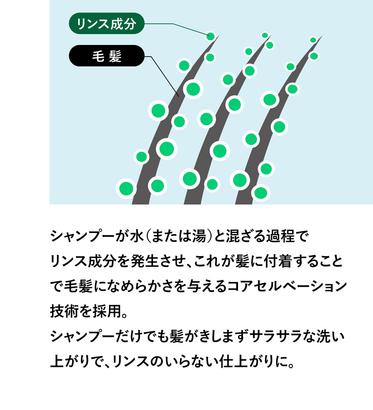 シャンプーが水(または湯) と混ざる過程でンス成分を発生させ、これが髪に付着することリで毛髪にな技術を採用めらかさを与えるコアセルベーション。シャンプーだけでも髪がきしまずサラサラな洗い上がりで、リンスのいらない仕上がりに。