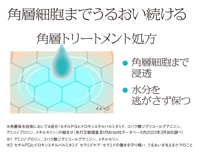 角層細胞までうるおい続ける