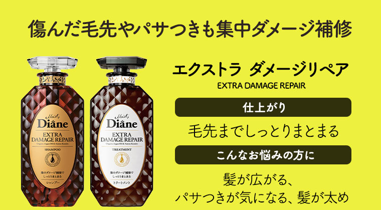 傷んだ毛先やパサつきも集中ダメージ補修