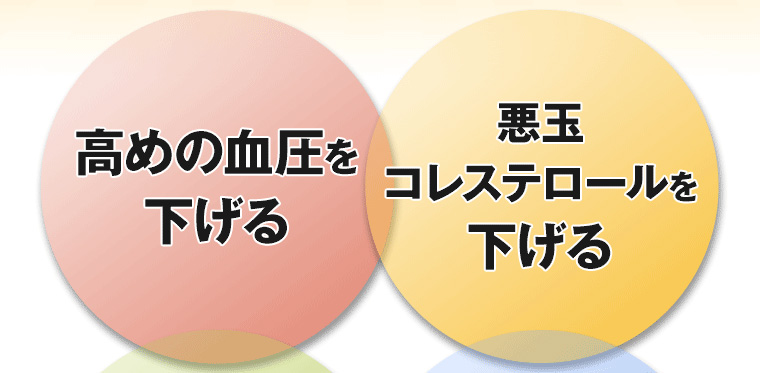 高めの血圧を下げる 悪玉コレステロールを下げる
