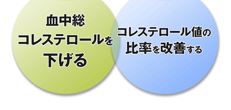 血中総コレステロールを下げる コレステロール値の比率を改善する