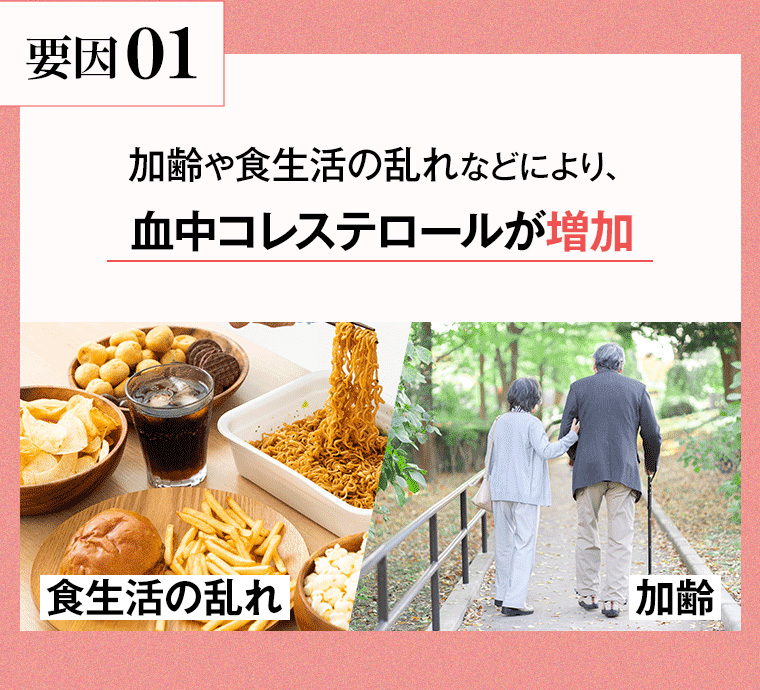 要因 01 加齢や食生活の乱れなどにより、血中コレステロールが増加 食生活の乱れ 加齡