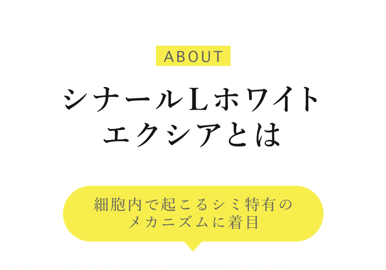 シナールL ホワイト エクシアとは