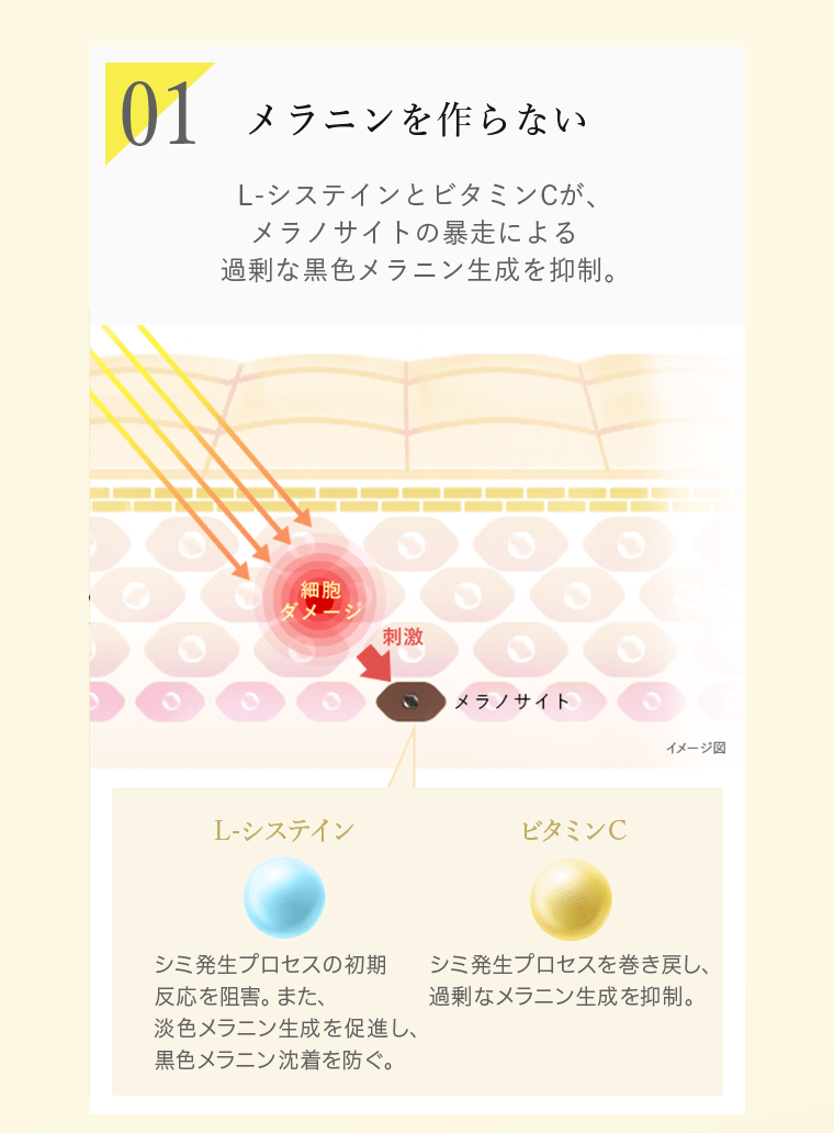 01　メラニンを作らない