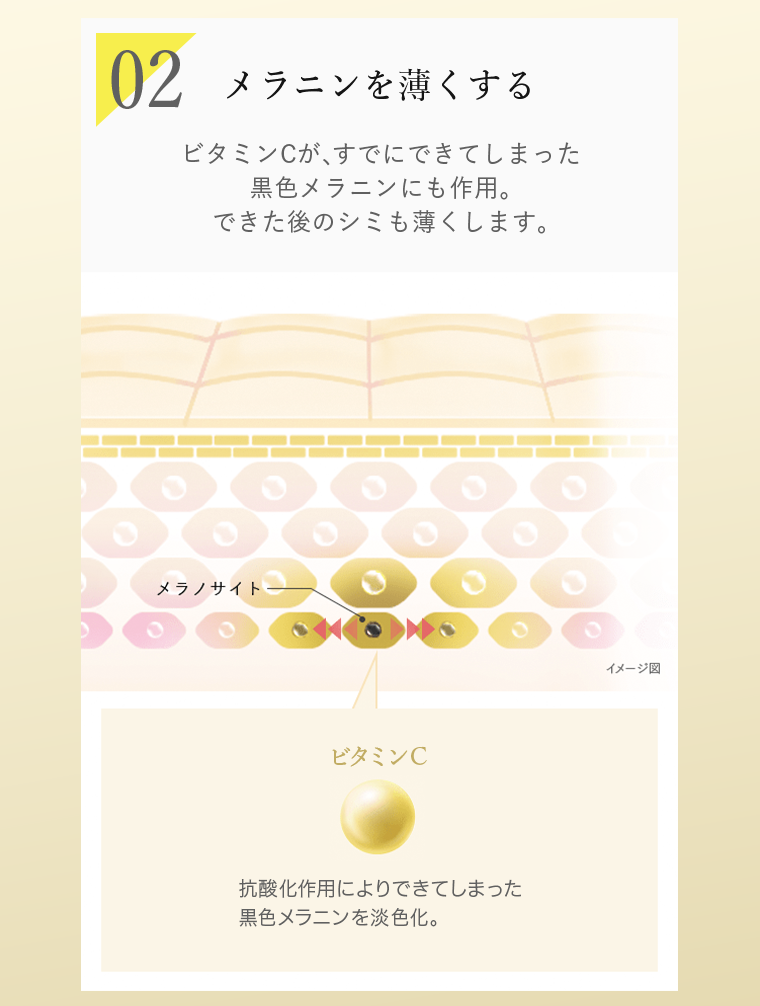 02　メラニンを薄くする