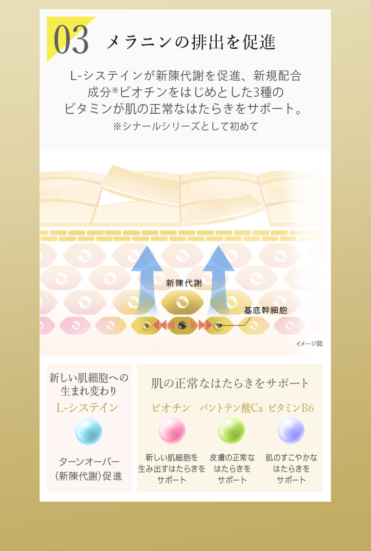 03　メラニンの排出を促進