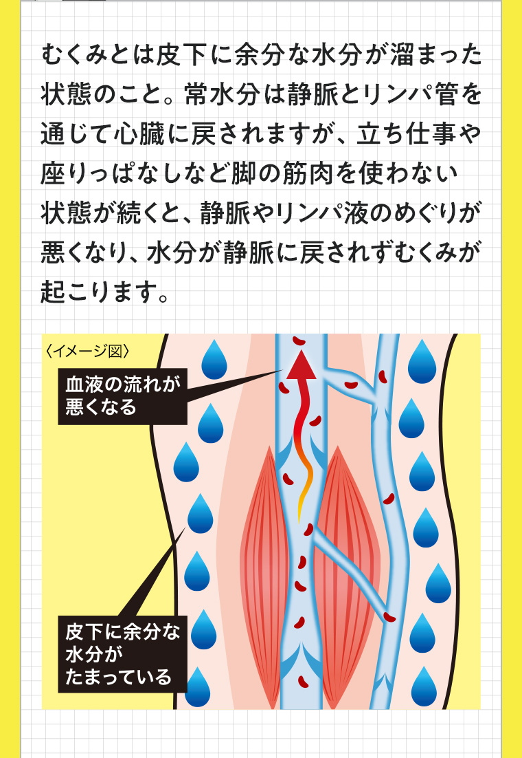 むくみとは皮下に余分な水分が溜まった 状態のこと。 常水分は静脈とリンパ管を 通じて心臓に戻されますが、 立ち仕事や 座りっぱなしなど脚の筋肉を使わない 状態が続くと、静脈やリンパ液のめぐりが 悪くなり、水分が静脈に戻されずむくみが起こります。