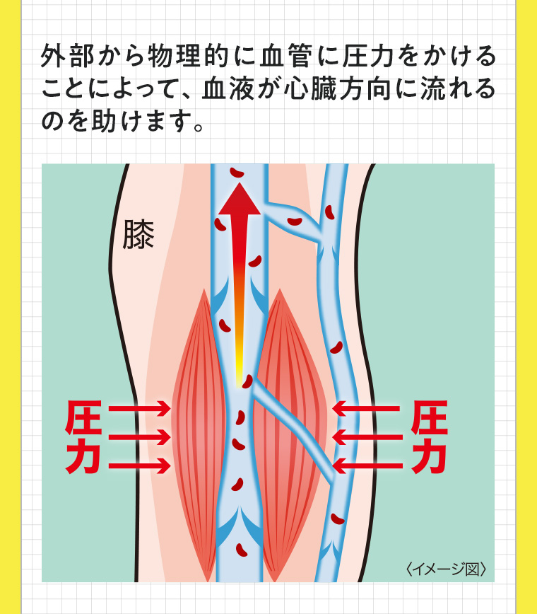 外部から物理的に血管に圧力をかけることによって、血液が心臓方向に流れるのを助けます。