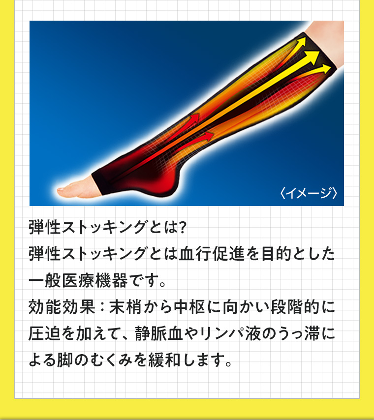弾性ストッキングとは? 弾性ストッキングとは血行促進を目的とした一般医療機器です。 効能効果: 末梢から中枢に向かい段階的に圧迫を加えて、静脈血やリンパ液のうっ滞による脚のむくみを緩和します。