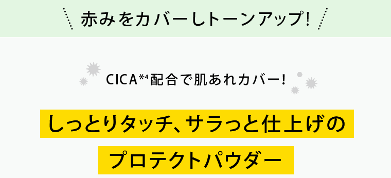 しっとりタッチ、サラっと仕上げのプロテクトパウダー