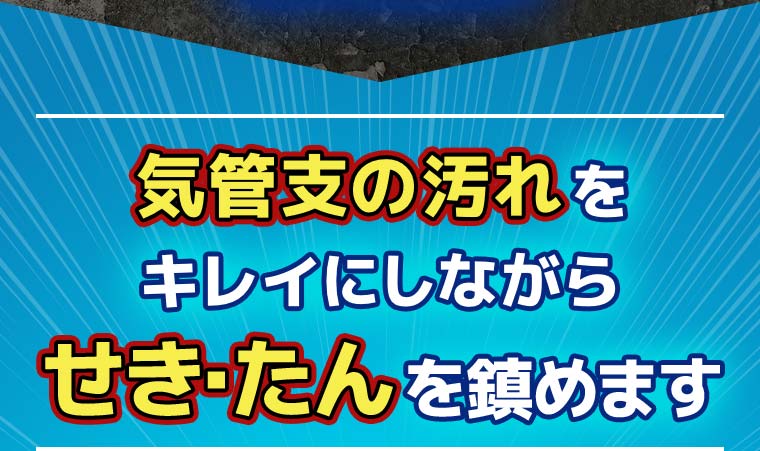 気管支の汚れをキレイにしながらせき・たんを鎮めます
