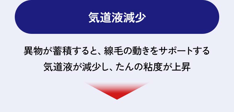 「気道液減少」異物が蓄積すると、線毛の動きをサポートする気道液が減少し、たんの粘度が上昇