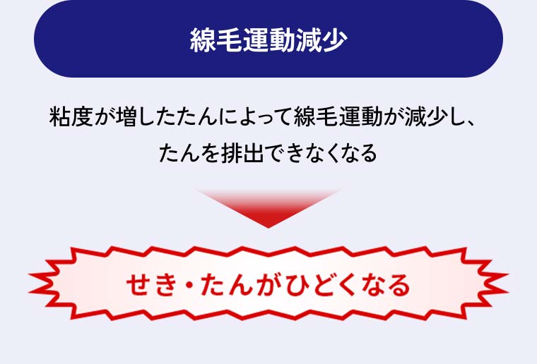 「線毛運動減少」粘度が増したたんによって線毛運動が減少し、たんを排出できなくなる → せき・たんがひどくなる