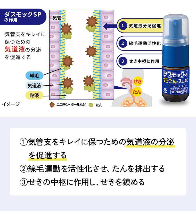 ①気管支をキレイに保つための気道液の分泌を促進する②線毛運動を活性化させ、たんを排出する③せきの中枢に作用し、せきを鎮める