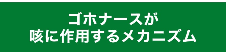 ゴホナースが咳に作用するメカニズム