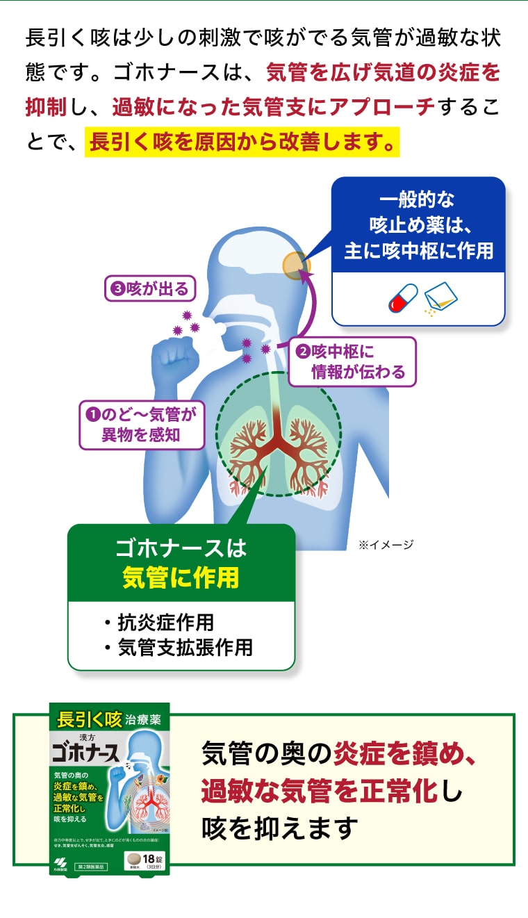 長引く咳は少しの刺激で咳がでる気管が過敏な状態です。ゴホナースは、気管を広げ気道の炎症を抑制し、過敏になった気管支にアプローチすることで、長引く咳を原因から改善します。