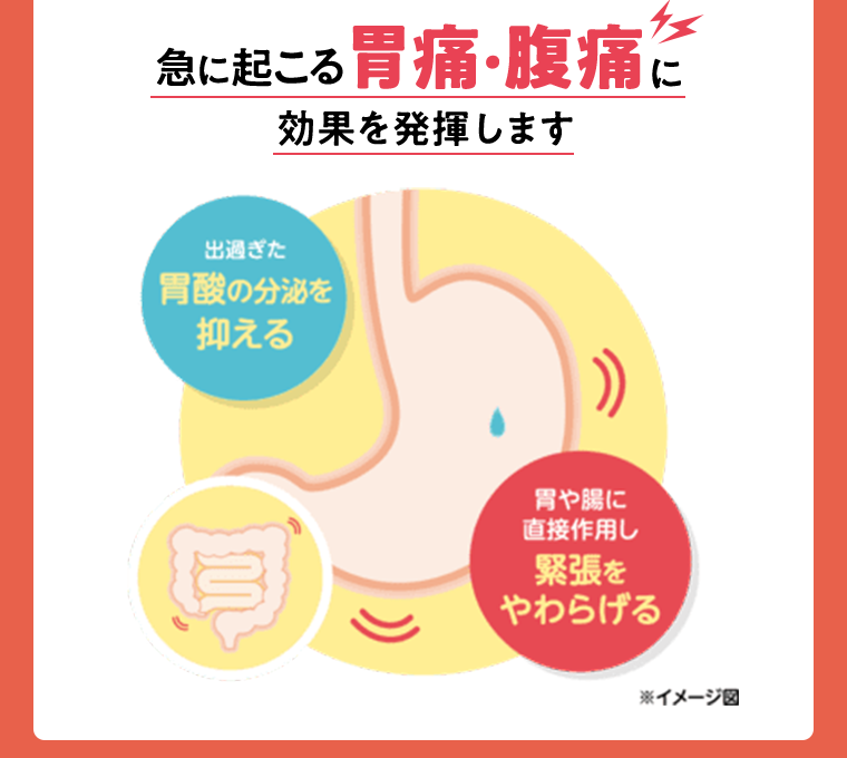 急に起こる胃痛・腹痛に効果を発揮します