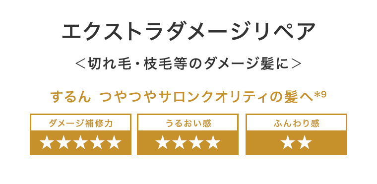 エクストラダメージリペア