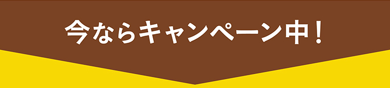 今ならキャンペーン中！