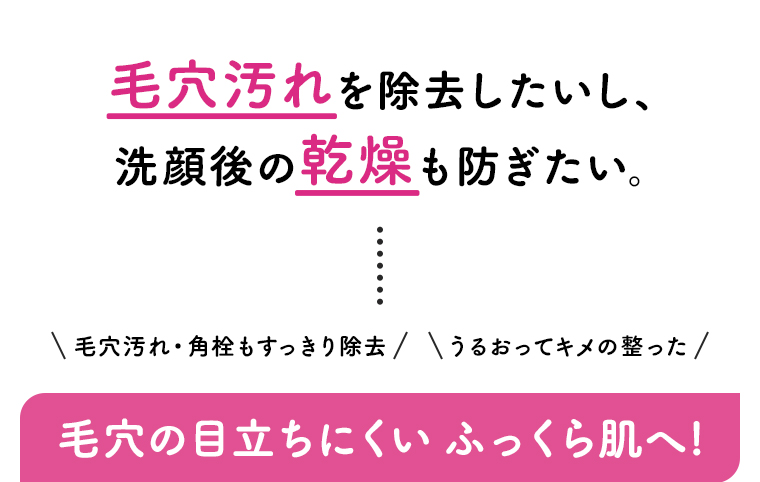 毛穴汚れを除去したいし、洗顔後の乾燥も防ぎたい。\毛穴汚れ・角栓もすっきり除去/ \うるおってキメの整った/ 毛穴の目立ちにくいふっくら肌へ!