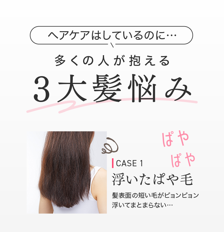 ヘアケアはしているのに···多くの人が抱える3大髪悩み CASE1浮いたぱや毛 髪表面の短い毛がピョンピョン浮いてまとまらない...