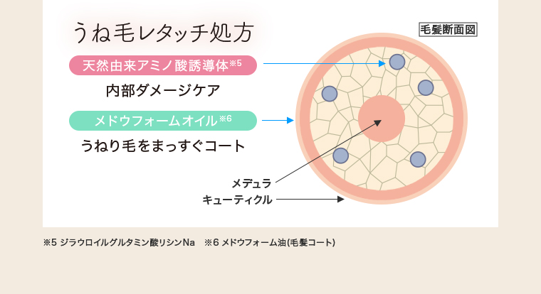 うね毛レタッチ処方　天然由来アミノ酸誘導体(5ジラウロイルグルタミン酸リシンNa)　内部ダメージケア　メドウフォームオイル(メドウフォーム油（毛コート）)　うねり毛をまっすぐコート
