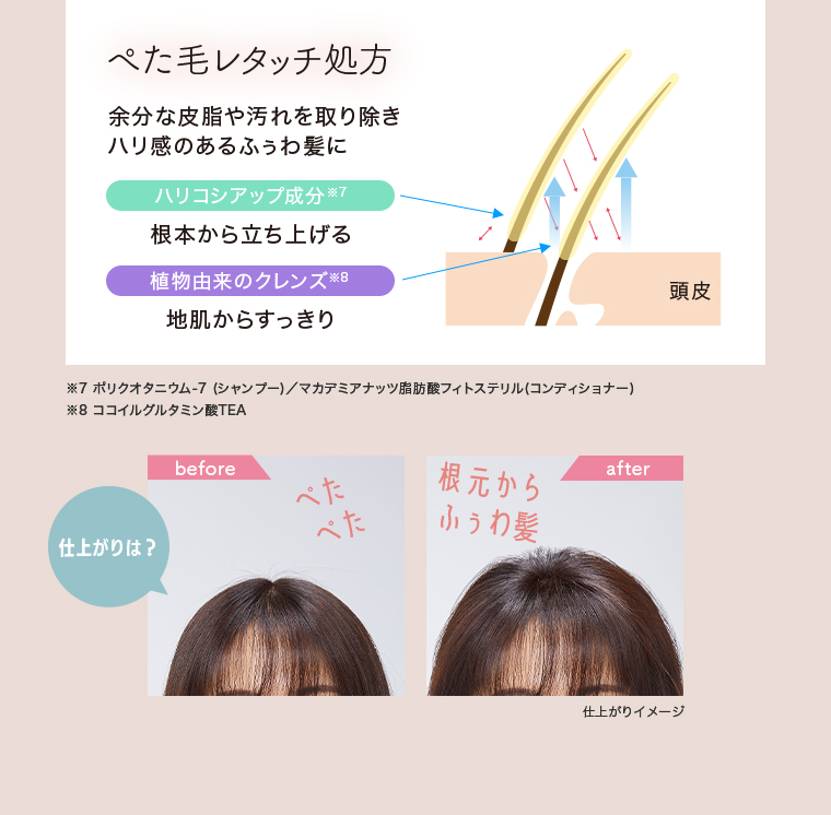 ぺた毛レタッチ処方　余分な皮脂や汚れを取り除き ハリ感のあるふうわ髪に ハリコシアップ成分(ポリクオタニウム-7（シャンプー）／マカデミアナッツ肪酸フィトステリル（コンディショナー) 根本から立ち上げる 植物由来のクレンズ(ココイルグルタミン酸TEA) 地肌からすっきり 仕上がりは？before after