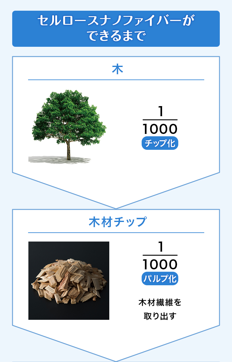 セルロースナノファイバーができるまで 木1/1000 チップ化 木材チップ1/1000パルプ化木材繊維を取り出す
