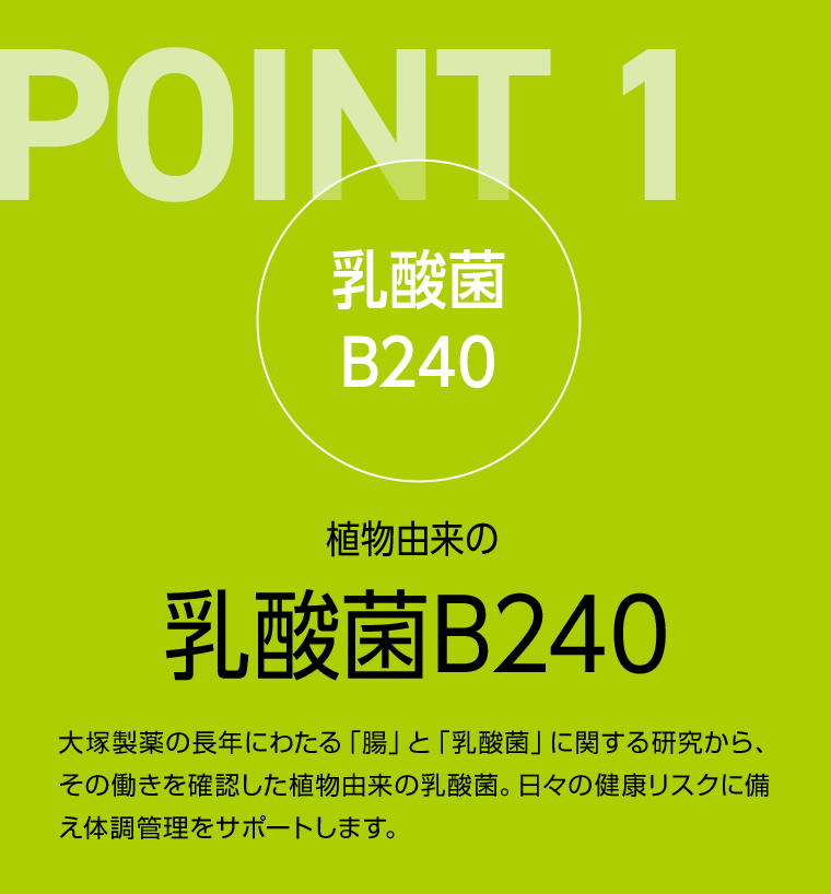 POINT 1 乳酸菌B240