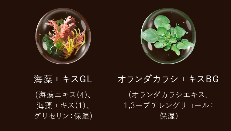 海藻エキスGL オランダカラシエキスBG