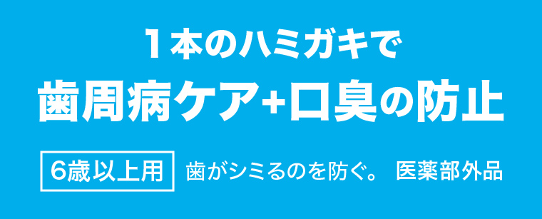 1本のハミガキで歯周病ケア+口臭の防止6歳以上用 歯がシミるのを防ぐ。 医薬部外品