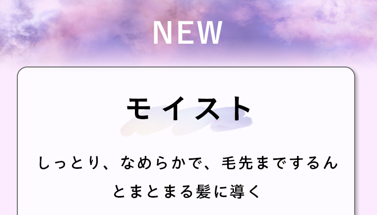 NEWモイストしっとり、なめらかで、毛先までするんとまとまる髪に導く