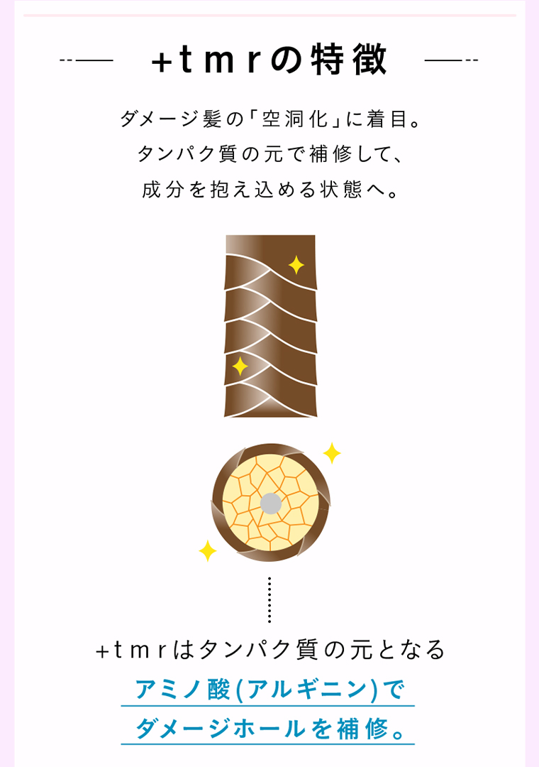 +tmrの特徴 ダメージ髪の「空洞化」に着目。タンパク質の元で補修して、成分を抱え込める状態へ。+tmrはタンパク質の元となるアミノ酸 (アルギニン)でダメージホールを補修。