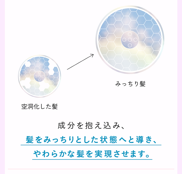 成分を抱え込み、 髪をみっちりとした状態へと導き、やわらかな髪を実現させます。