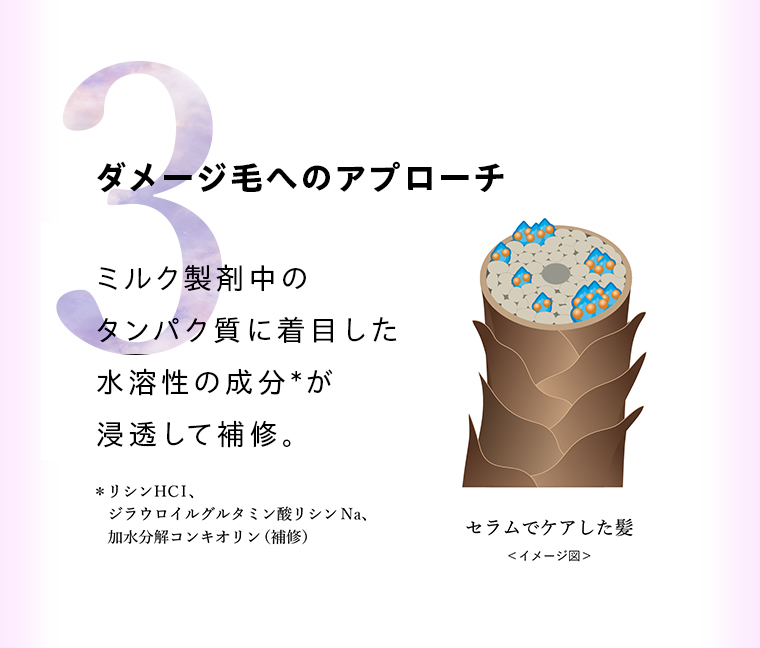 POINT3  ダメージ毛へのアプローチ