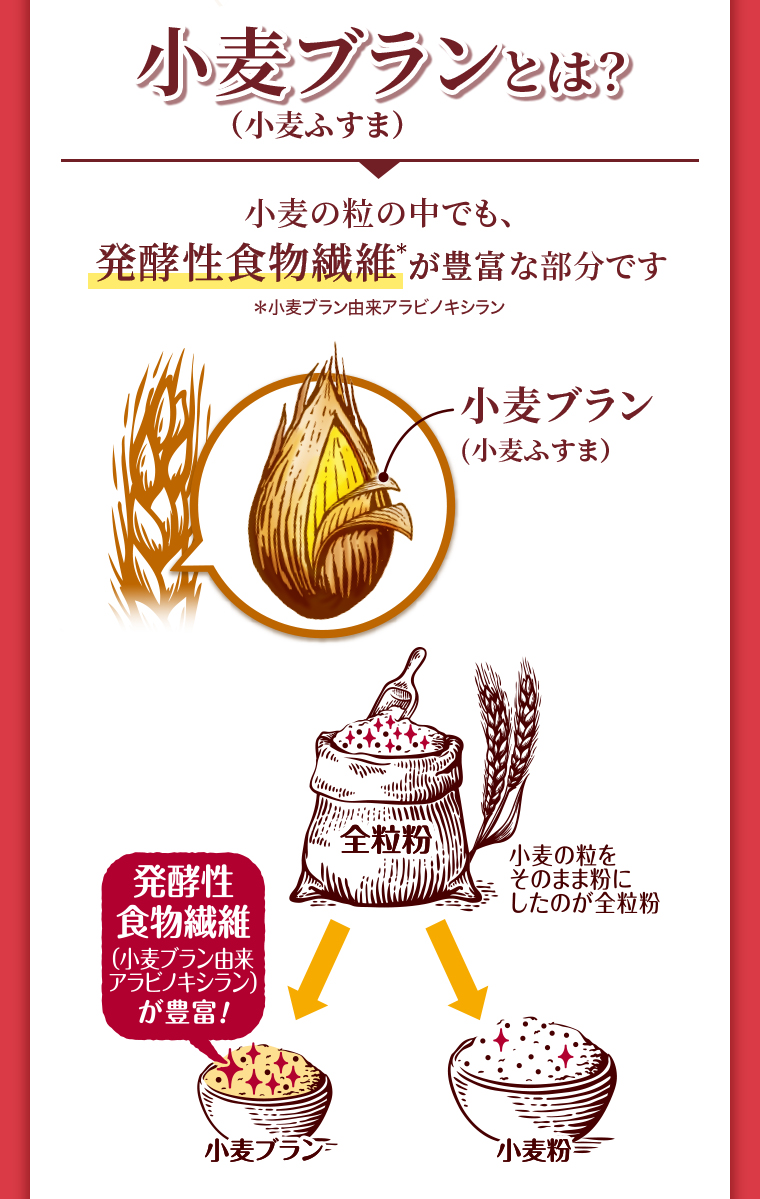 小麦ブラン(小麦ふすま)とは?小麦の粒の中でも、発酵性食物繊維が豊富な部分です*小麦ブラン由来アラビノキシラン 
